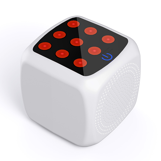 Y01 Electronic Dice